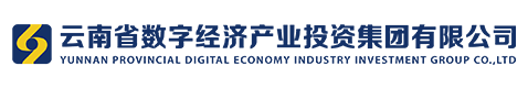 云南省数字经济产业投资集团有限公司